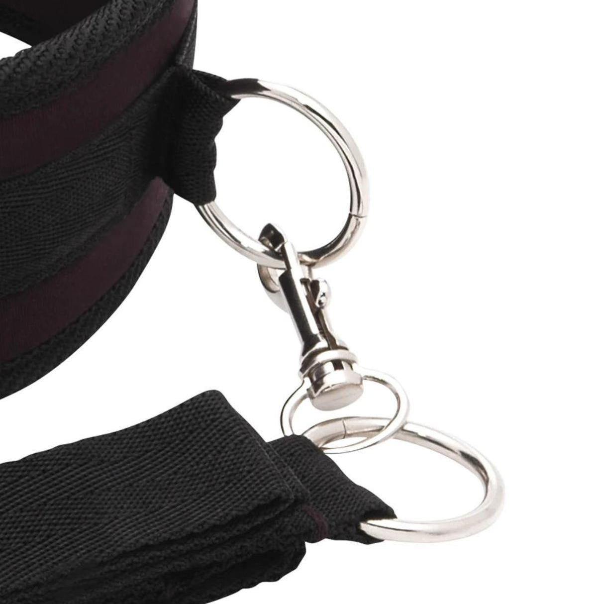 Lux Fetish Collar & Leash Set