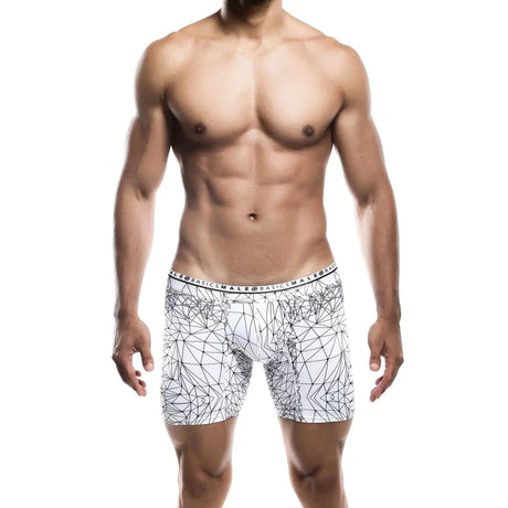 Male Basics Spider Hipster Boxer Brief