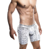 Male Basics Spider Hipster Boxer Brief