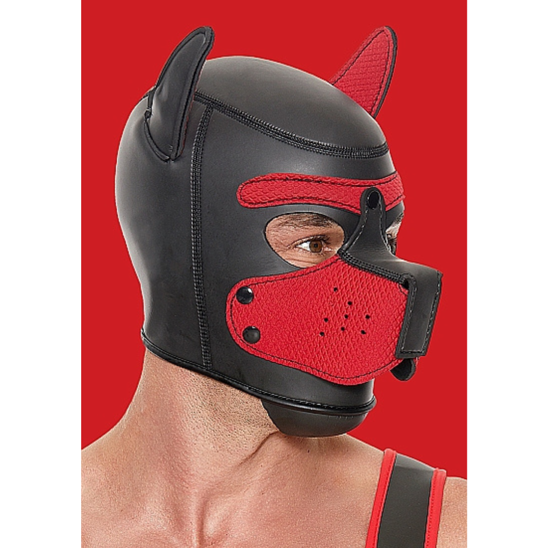 Neoprene Puppy Hood