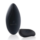 Premium Remote Vibrating Panty Set