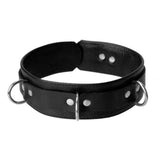 Sick Puppy Leash and Collar Set