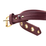 Strict Leather Luxury Locking Collar